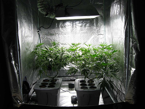 diy grow room