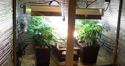 grow room