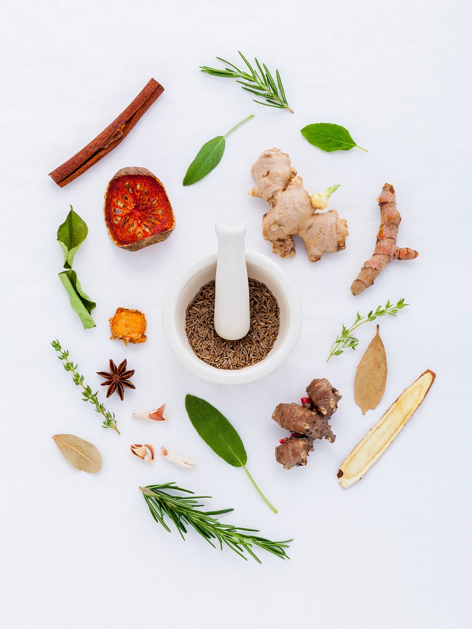 Healing Powers of Herbal Medicine