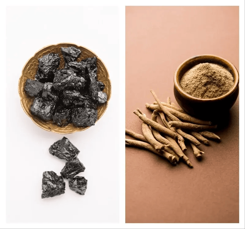 ashwagandha vs shilajit